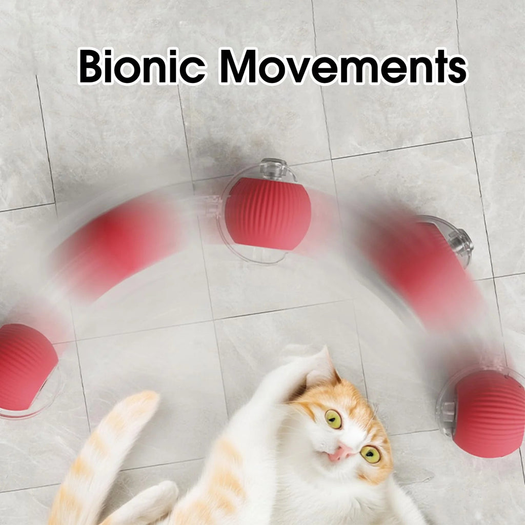 Yopoll Interactive Pet Toy Ball