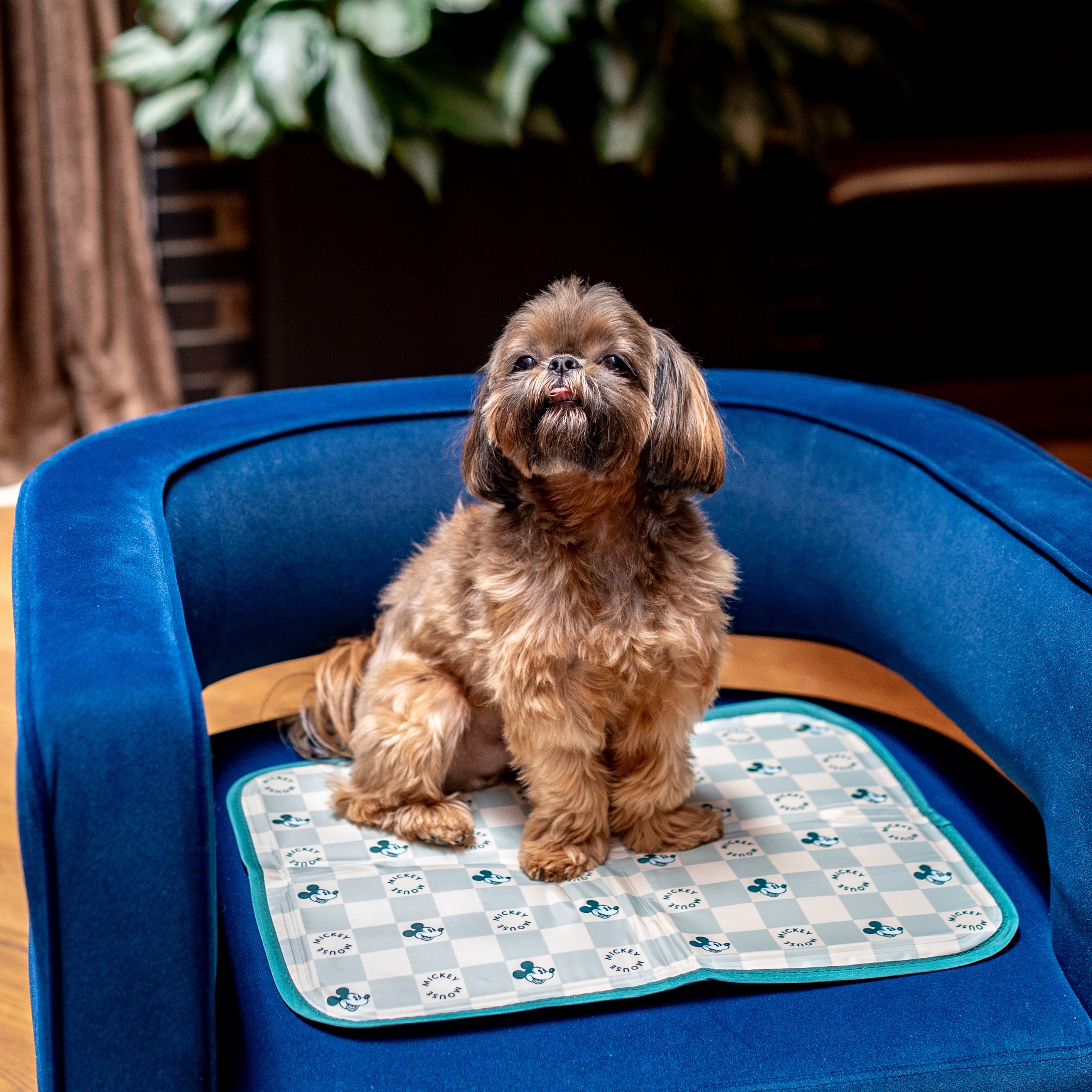 Disney Mickey Mouse Cool Pet Pad