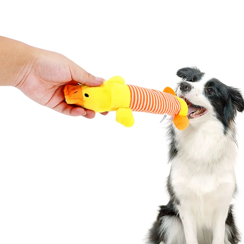 Squeaky Dog Plush Toy Set