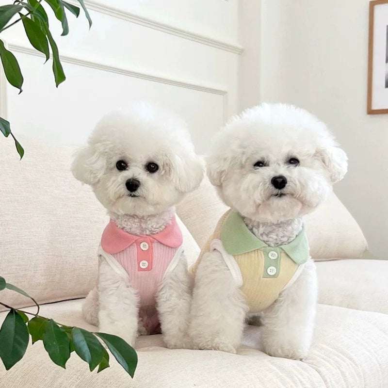 Breathable Contrast Color Collar Dog Cat Vest