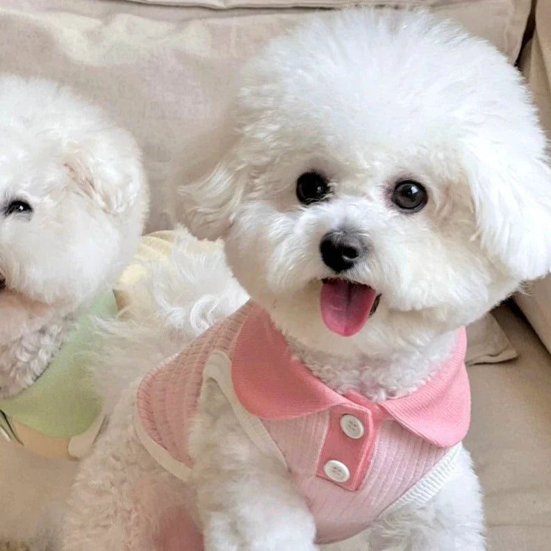 Breathable Contrast Color Collar Dog Cat Vest