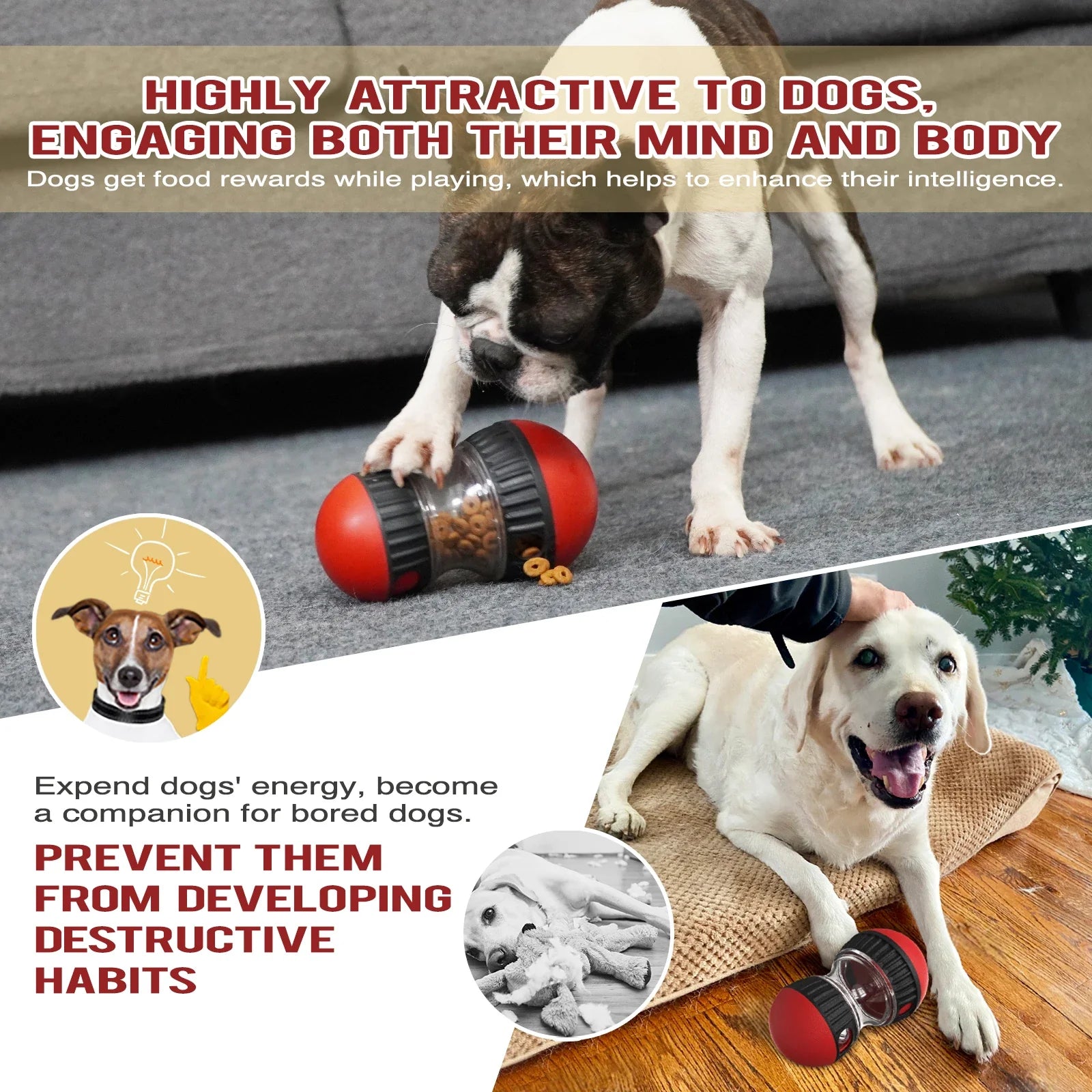 Interactive Dog Treat Toy