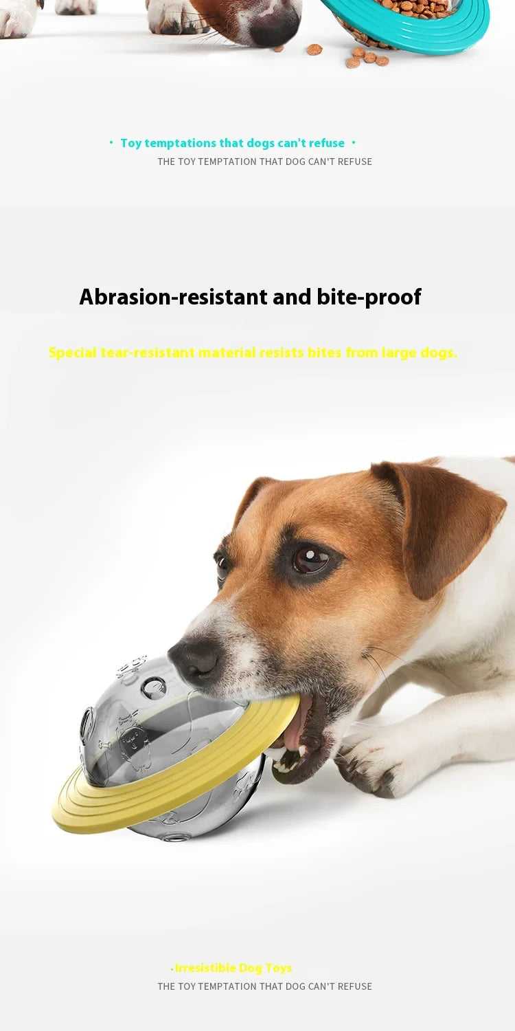 Flying Saucer Chew-Proof Dog Toy