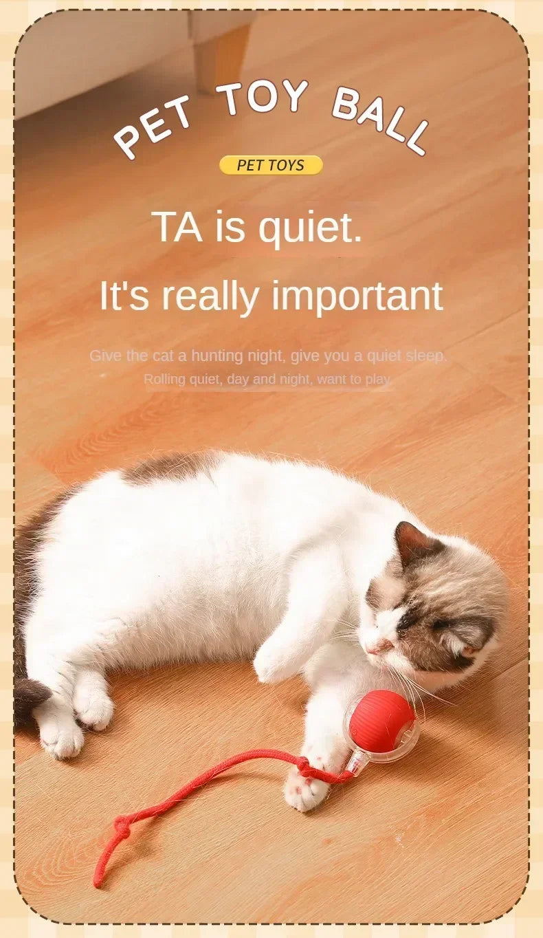Interactive Auto-Rolling Pet Ball Toy