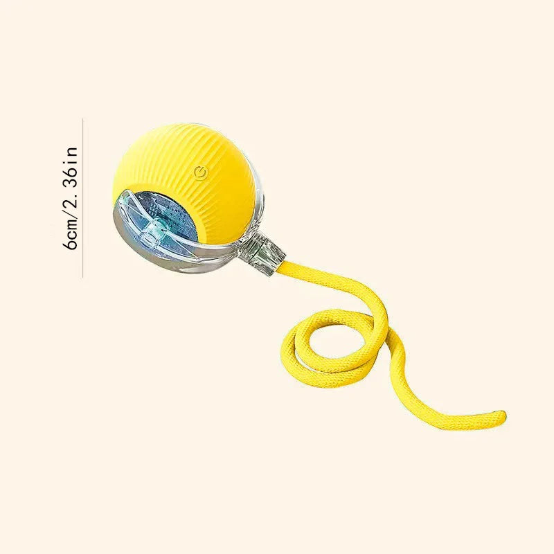 Smart Dog Ball Treat-Dispensing Toy