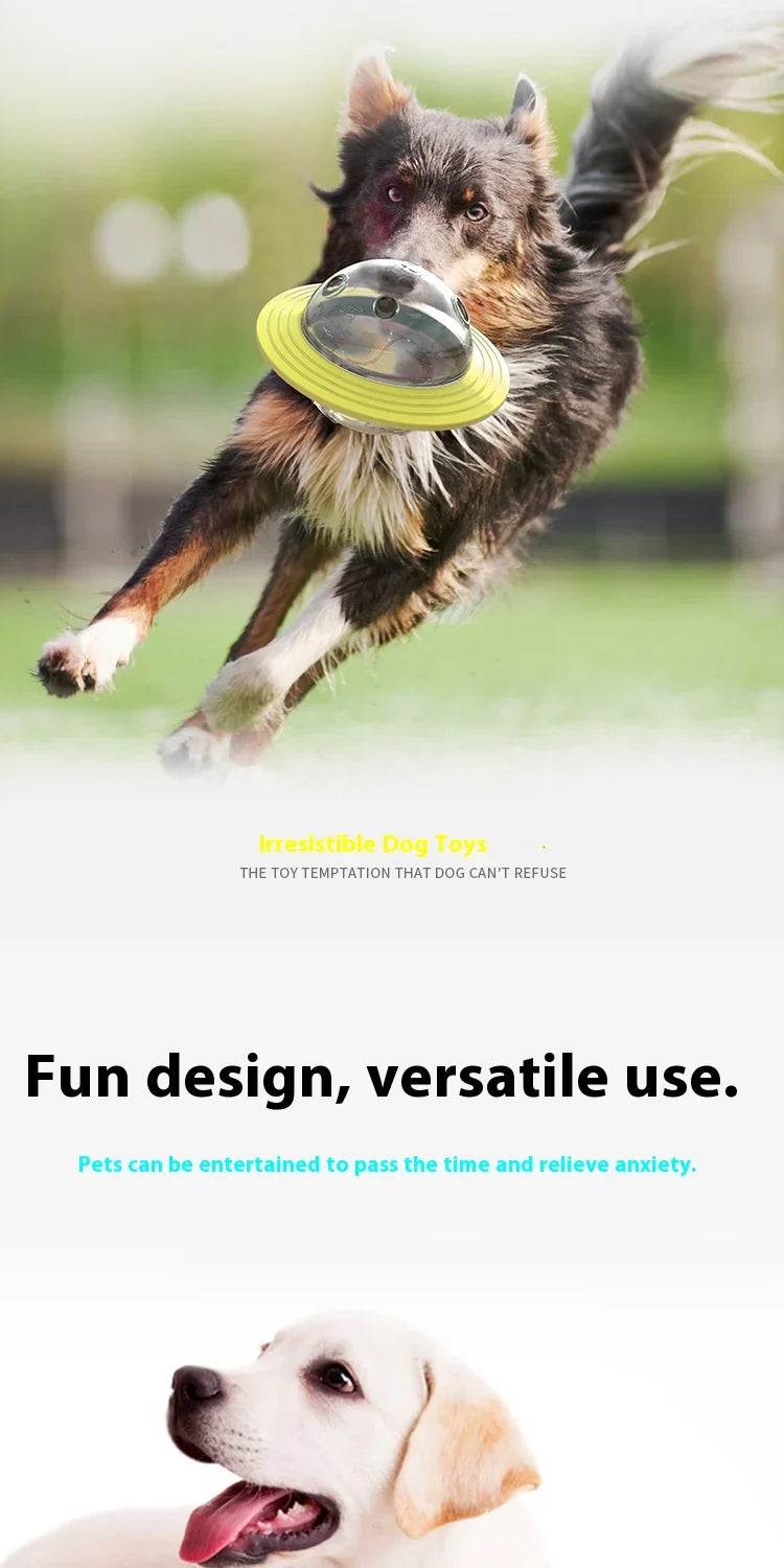 Flying Saucer Chew-Proof Dog Toy