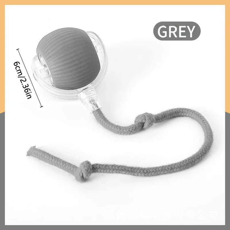 Smart Dog Ball Treat-Dispensing Toy