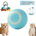 Interactive Auto-Rolling Pet Ball Toy