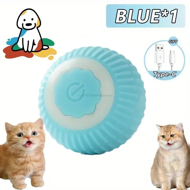 Interactive Auto-Rolling Pet Ball Toy