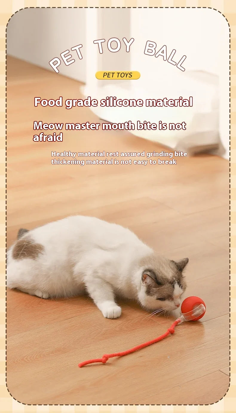 Electric Auto-Rolling Cat Ball Toy