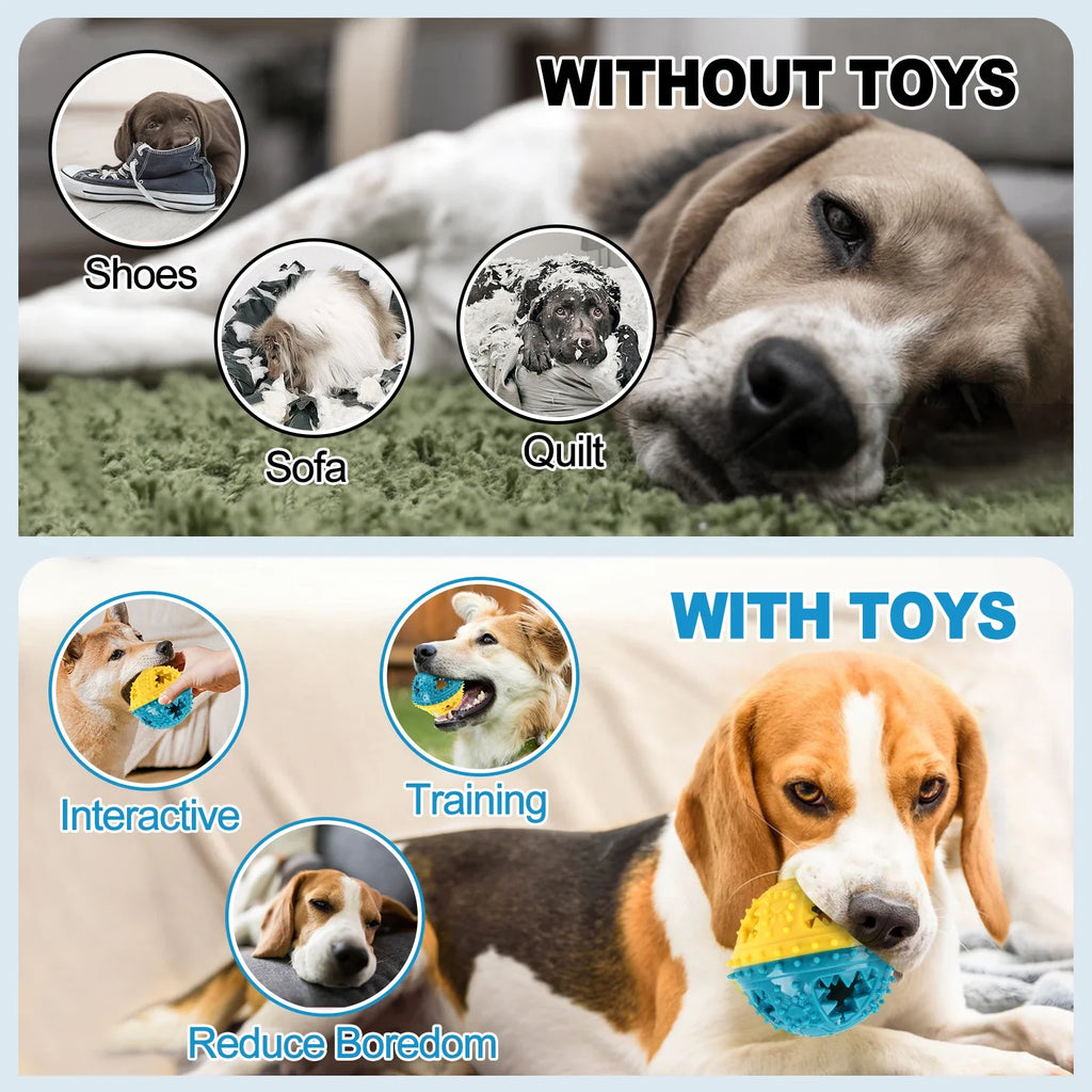 Dog Squeaky Chew Ball