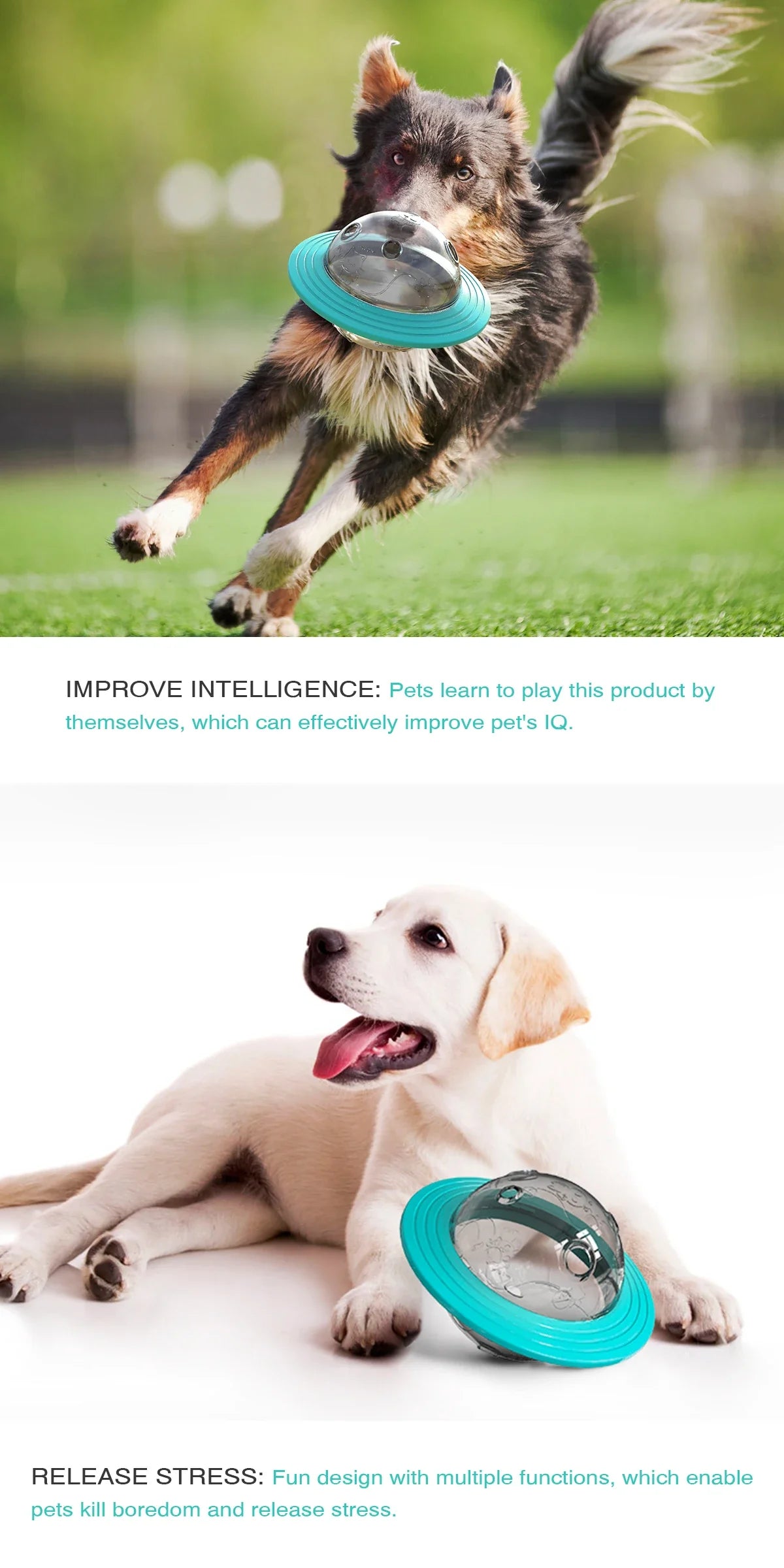 Pet Treat Feeder Toy