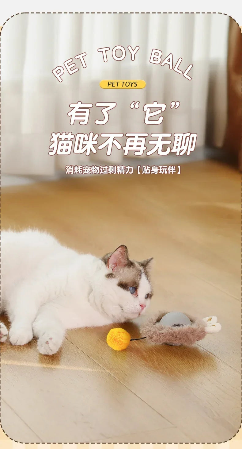 Interactive Auto-Rolling Pet Ball Toy