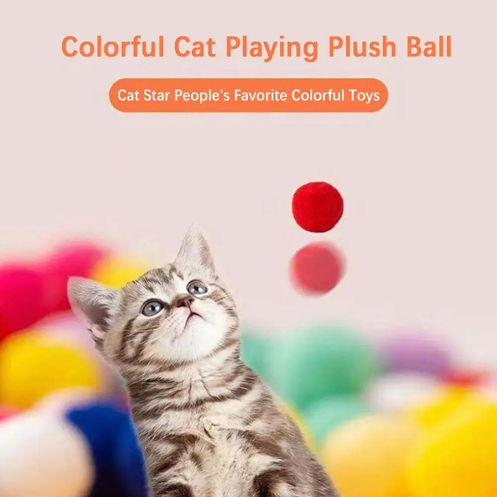 Kitten Mini Ball Launcher