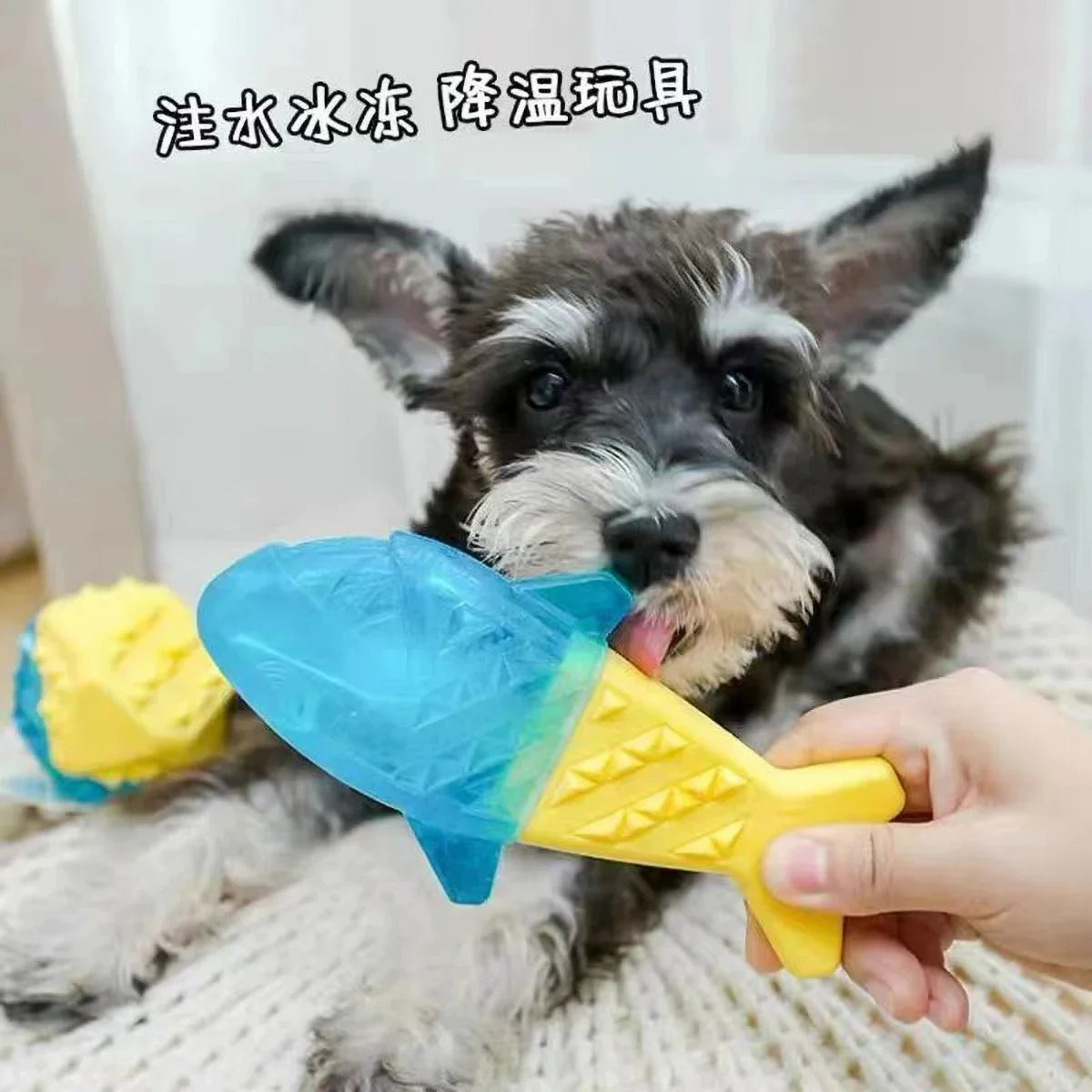 Summer Cooling Dog Toy