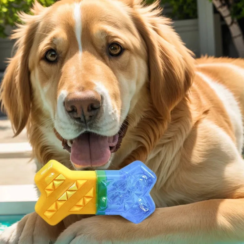 Summer Cooling Dog Toy