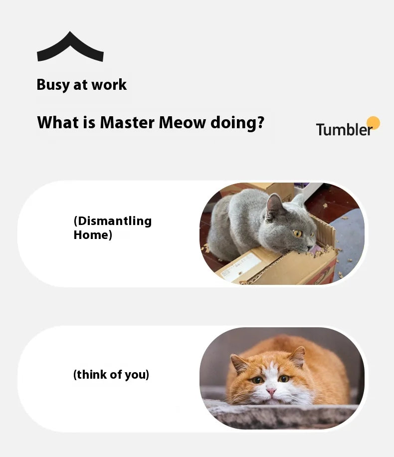 Electric Auto-Rolling Cat Ball Toy
