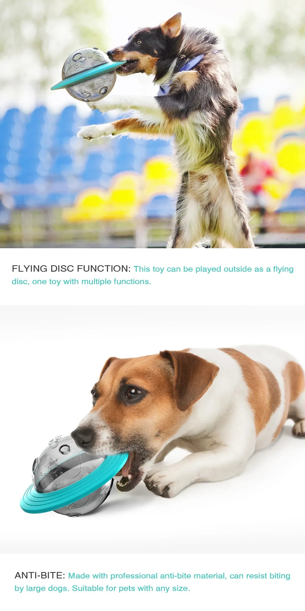 Flying Saucer Chew-Proof Dog Toy