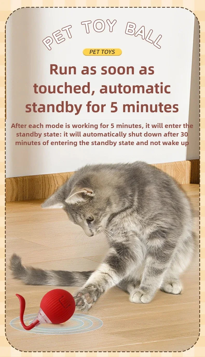 Interactive Auto-Rolling Pet Ball Toy