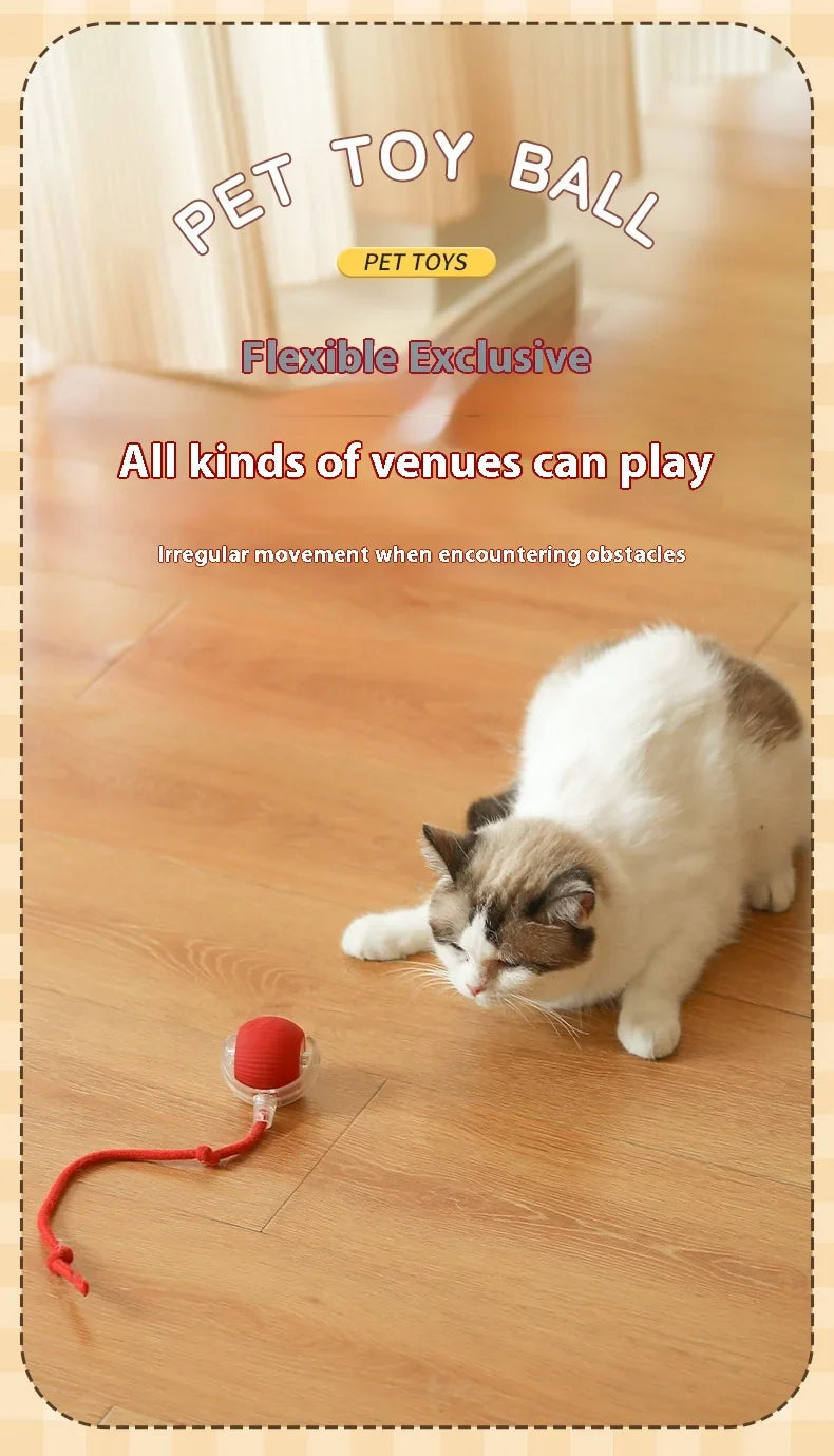 Electric Auto-Rolling Cat Ball Toy