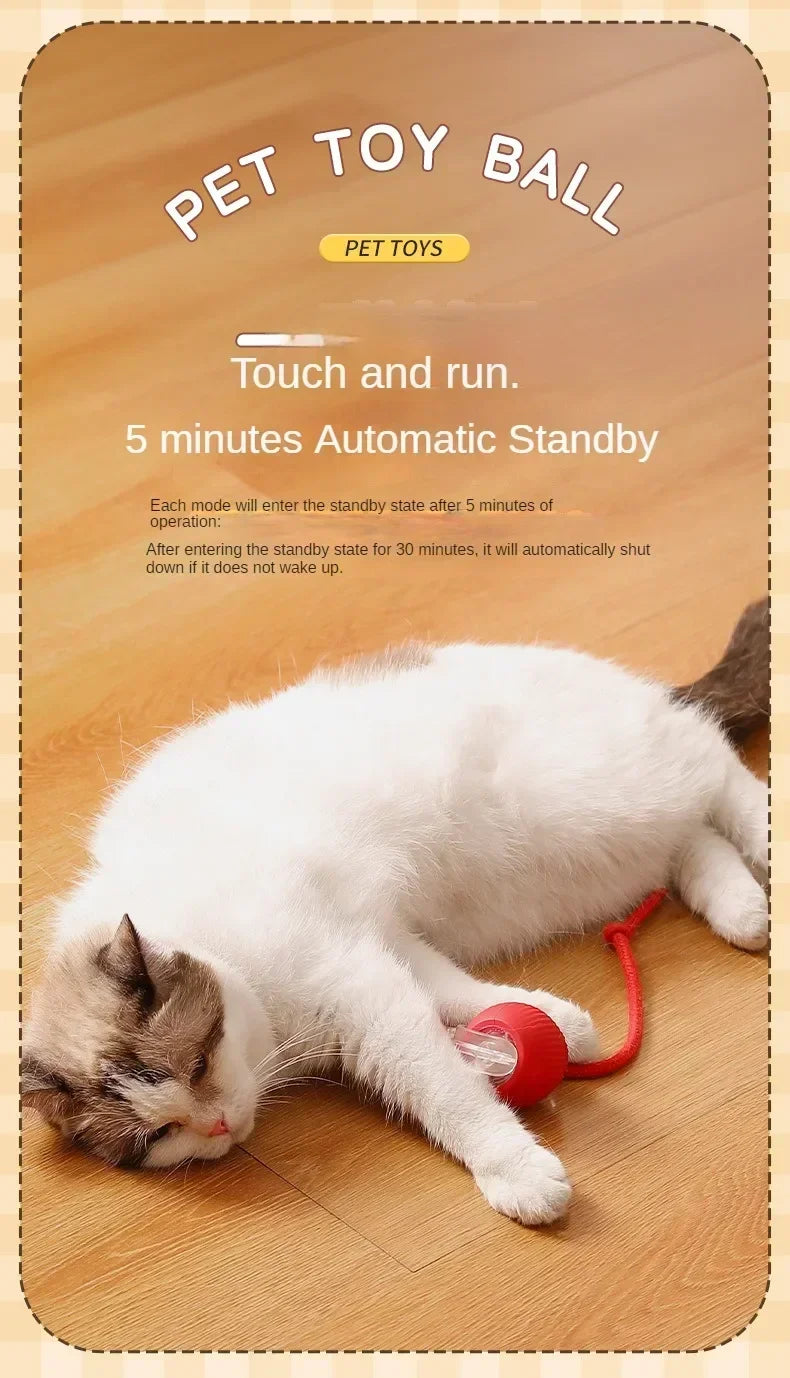 Interactive Auto-Rolling Pet Ball Toy