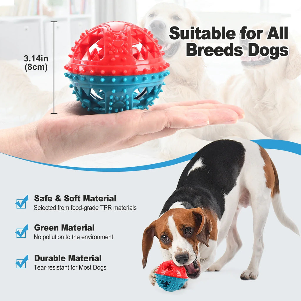 Dog Squeaky Chew Ball