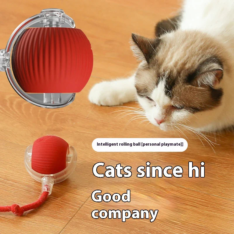 Electric Auto-Rolling Cat Ball Toy