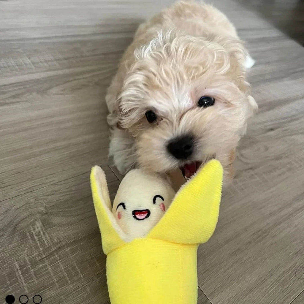 7-Piece Puppy Squeaky Toy Set