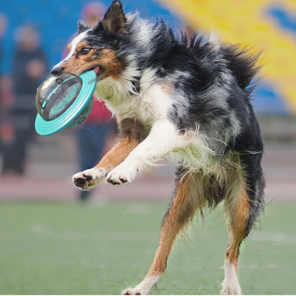 Pet Treat Feeder Toy