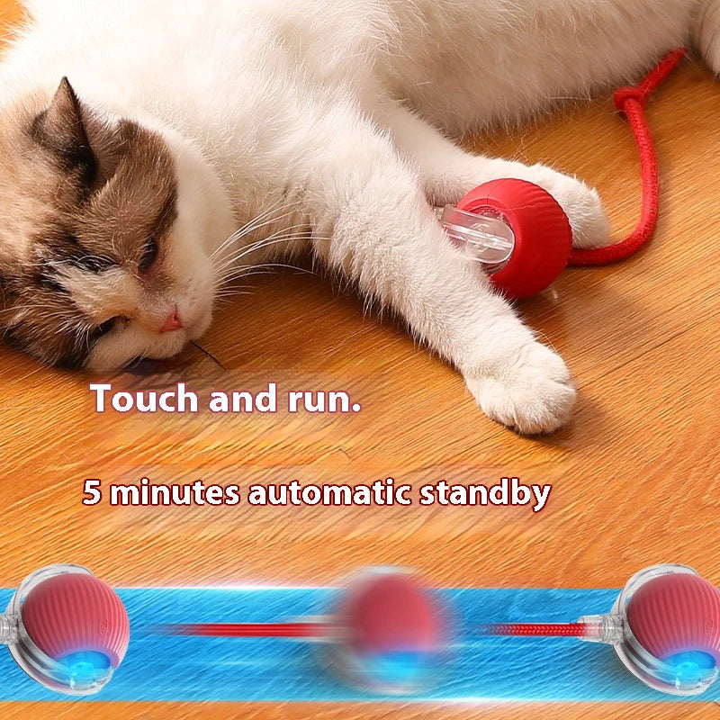 Electric Auto-Rolling Cat Ball Toy