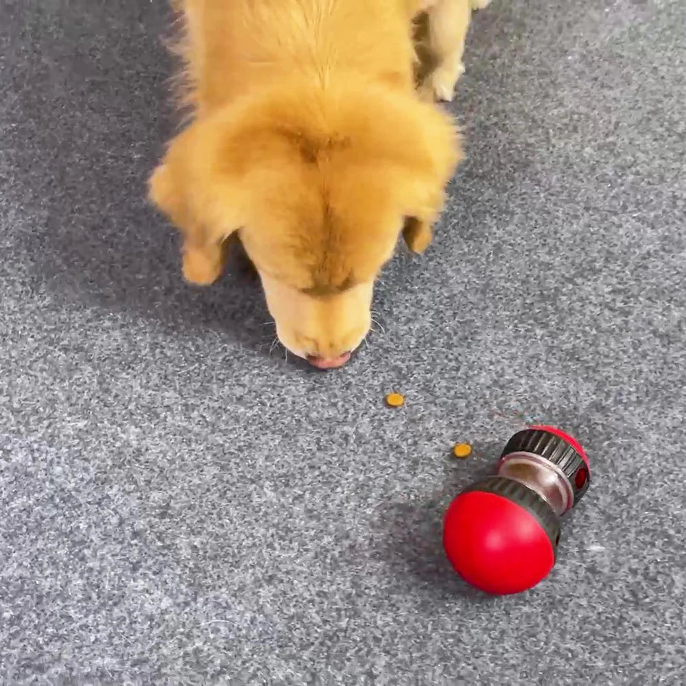 Interactive Dog Treat Toy