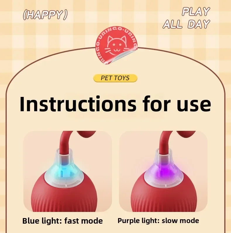 Interactive Auto-Rolling Pet Ball Toy