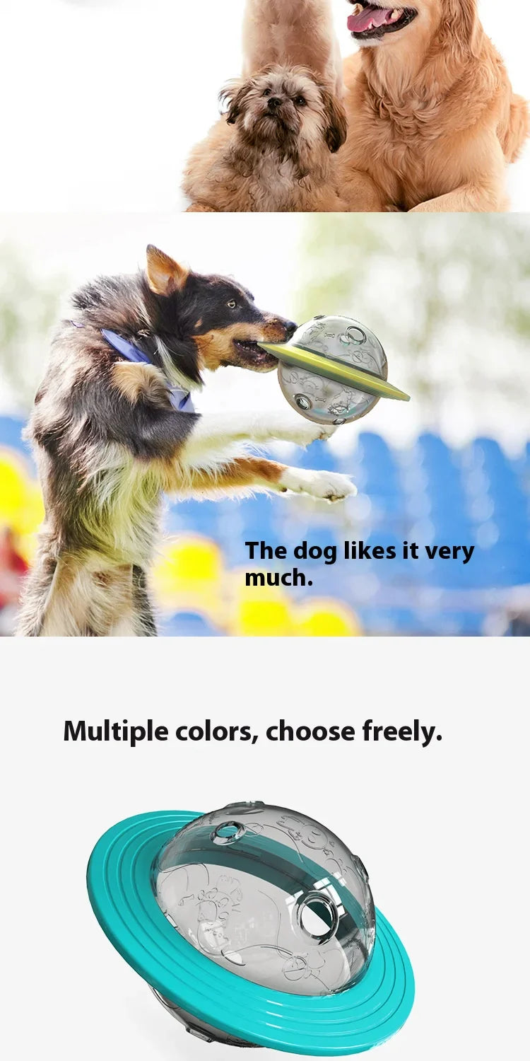 Flying Saucer Chew-Proof Dog Toy