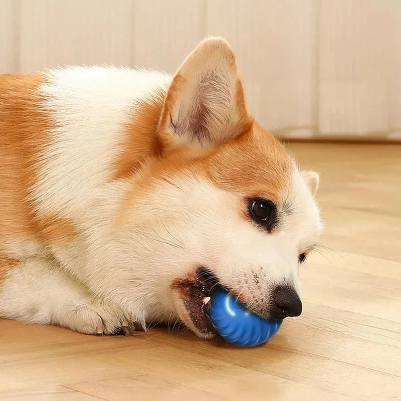 Smart Dog Ball Treat-Dispensing Toy