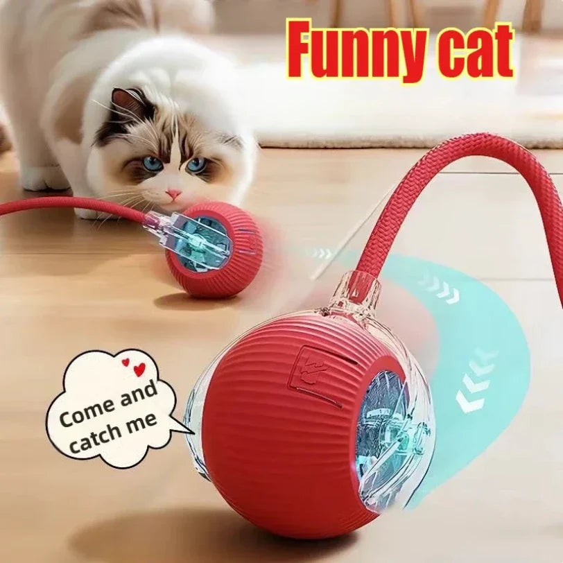 Interactive Auto-Rolling Pet Ball Toy