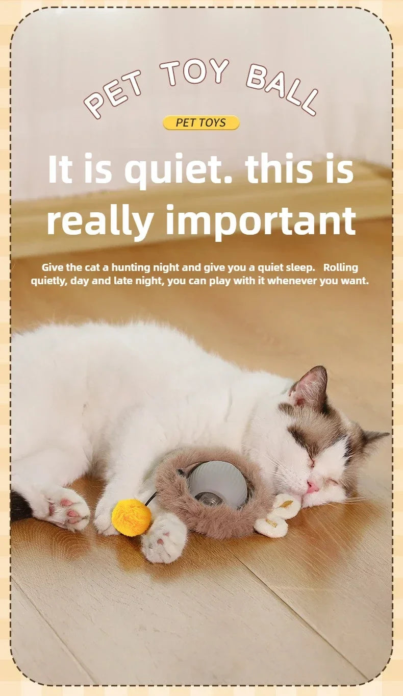 Interactive Auto-Rolling Pet Ball Toy