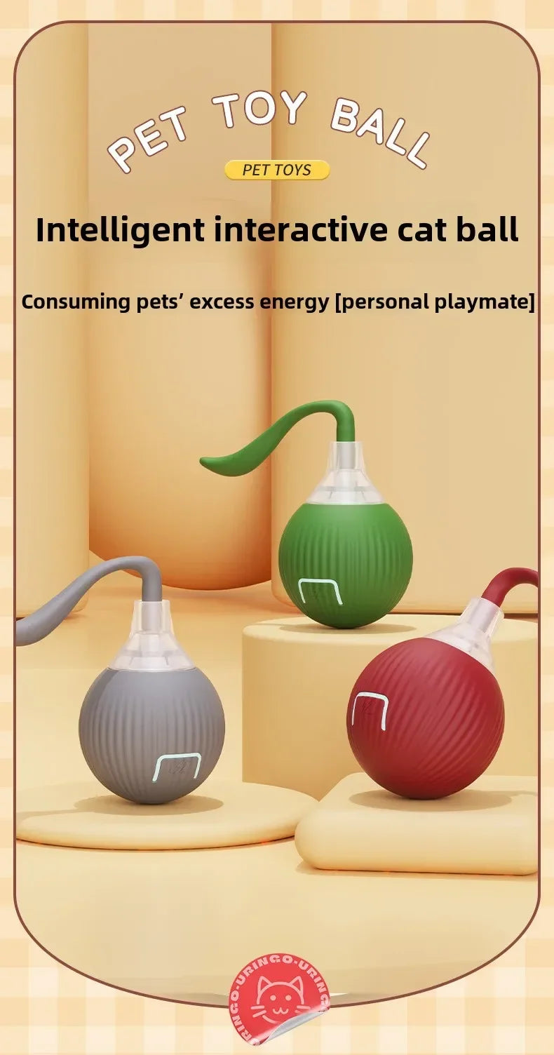 Interactive Auto-Rolling Pet Ball Toy