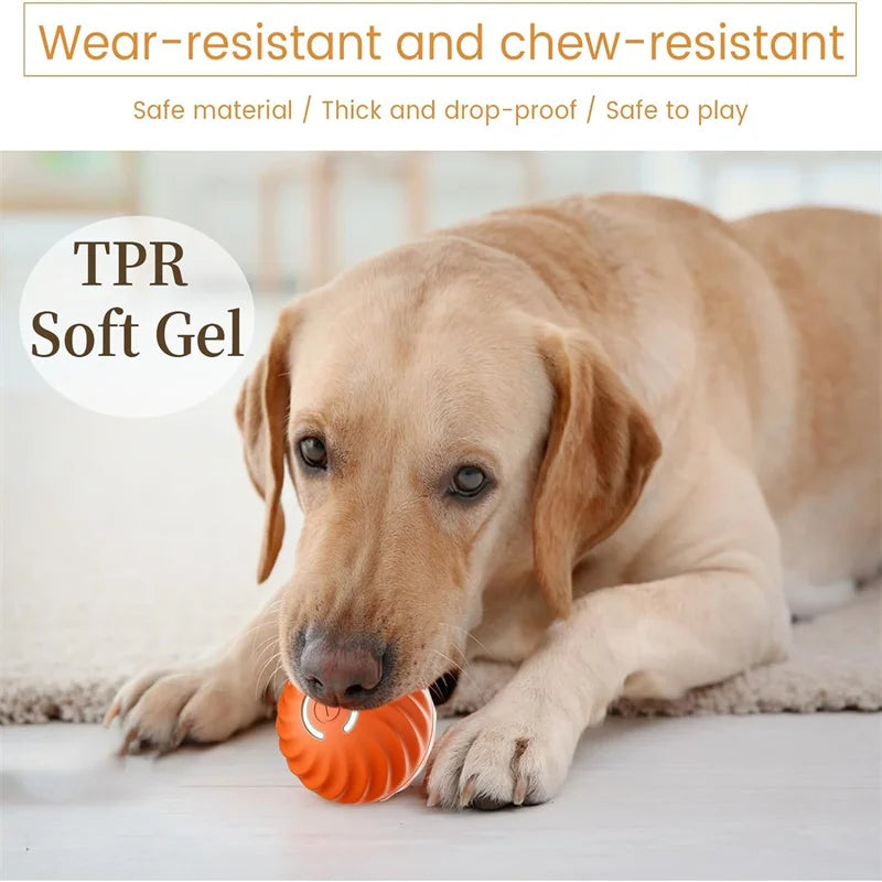 Smart Dog Ball Treat-Dispensing Toy