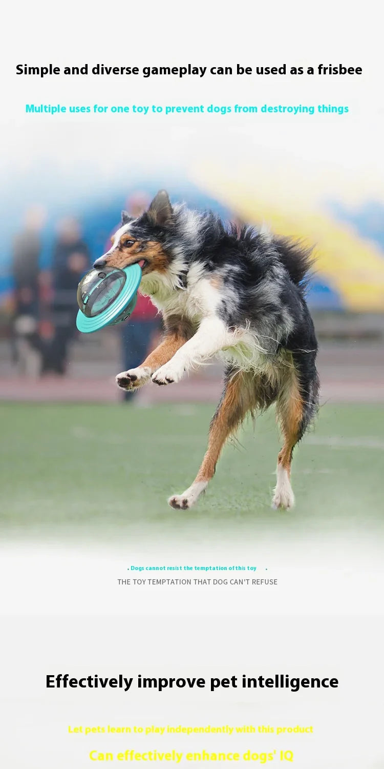 Flying Saucer Chew-Proof Dog Toy
