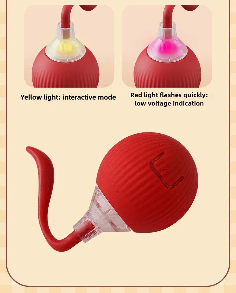 Interactive Auto-Rolling Pet Ball Toy