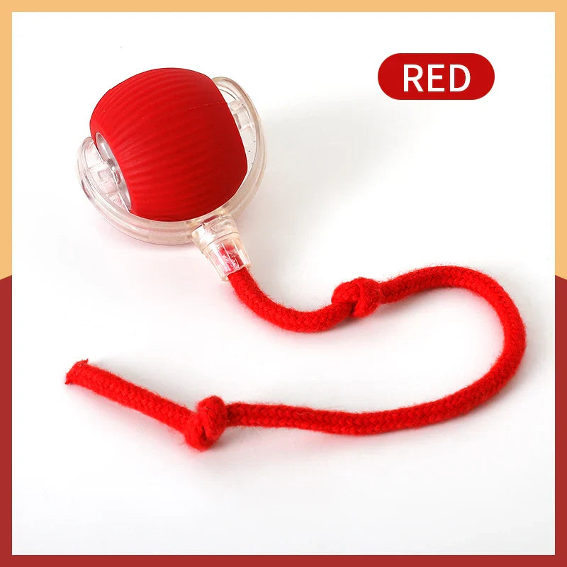 Electric Auto-Rolling Cat Ball Toy