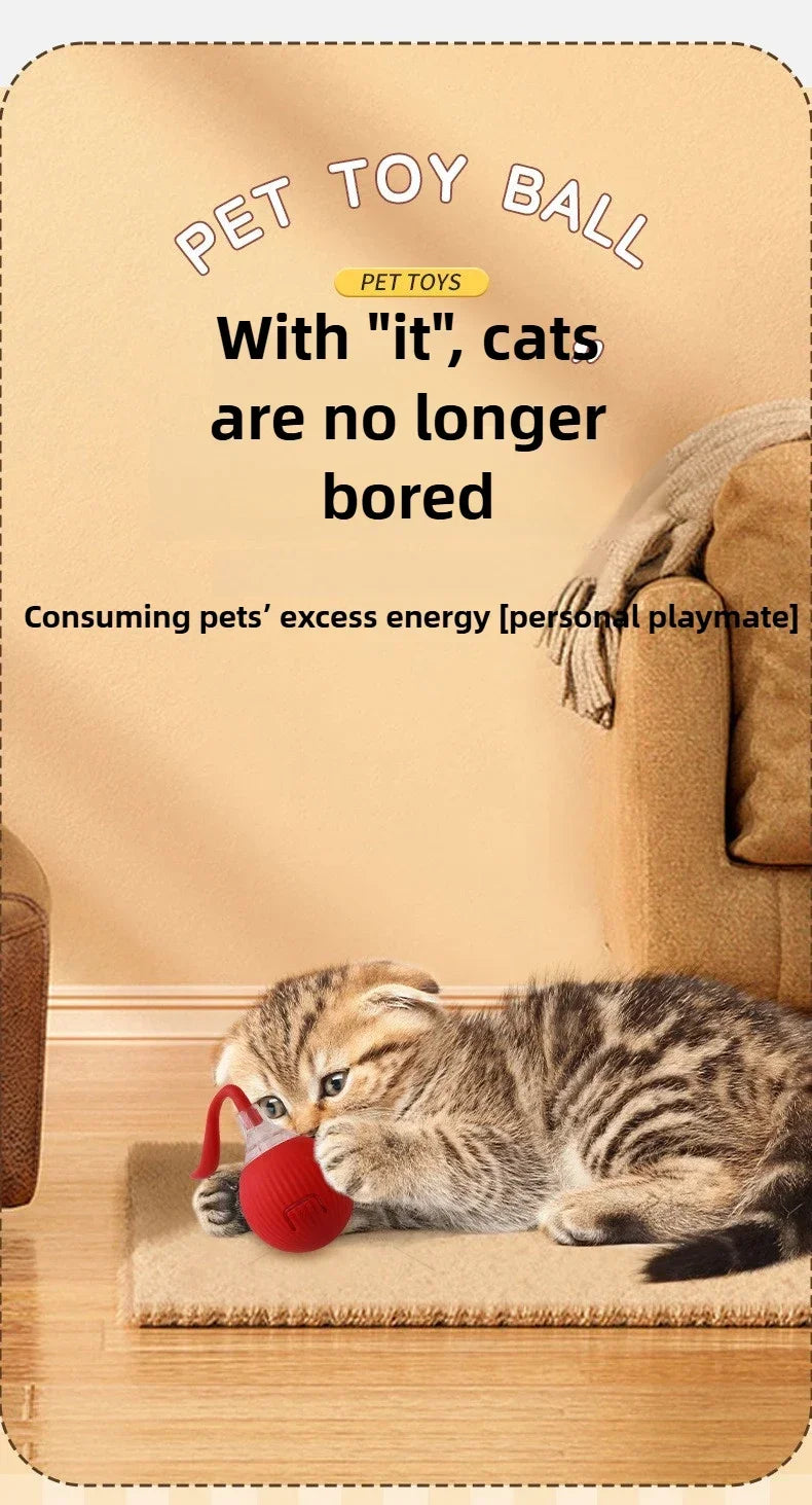 Interactive Auto-Rolling Pet Ball Toy