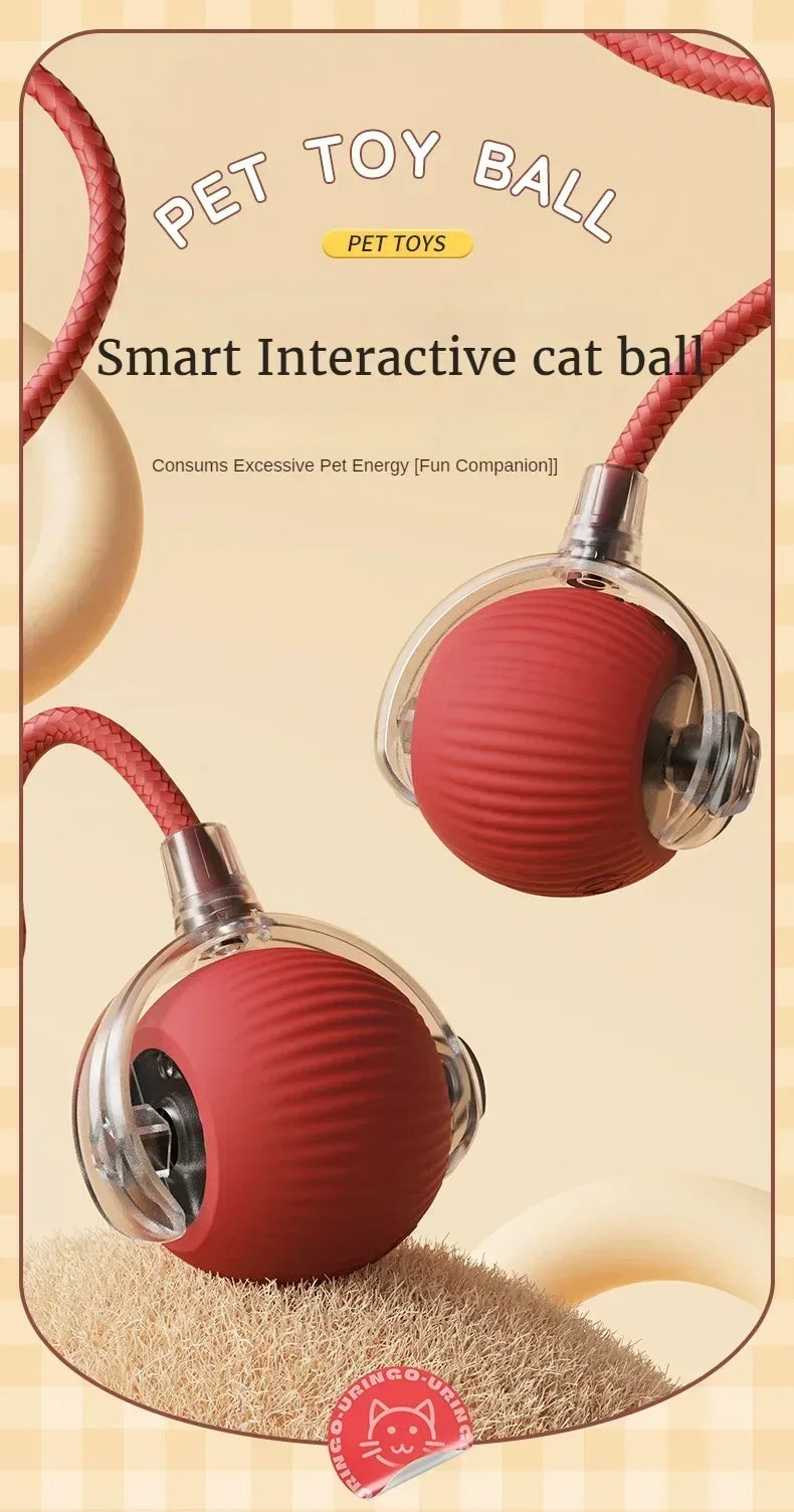 Interactive Auto-Rolling Pet Ball Toy