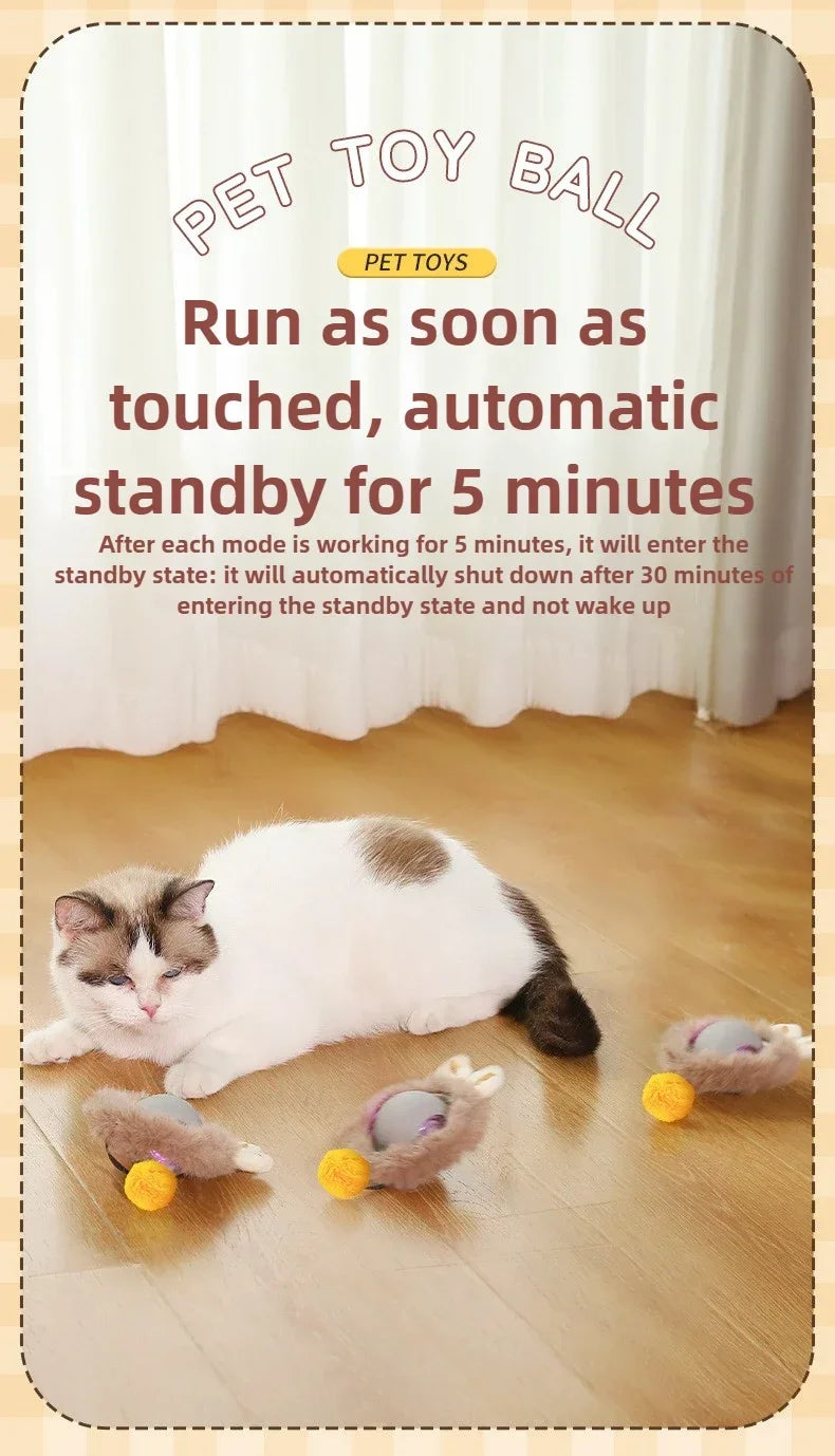 Interactive Auto-Rolling Pet Ball Toy