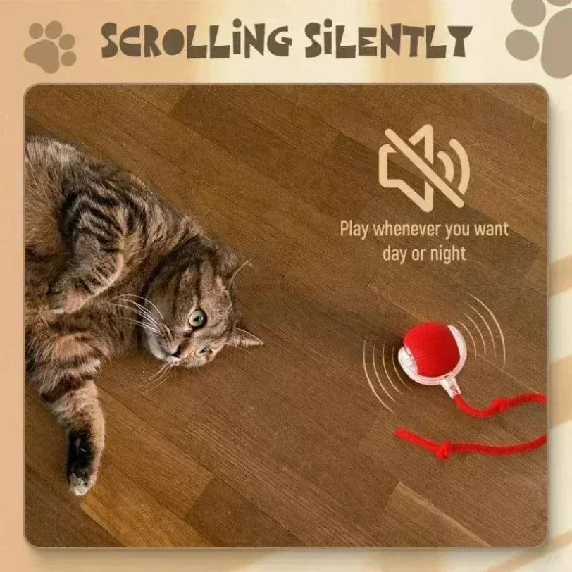 Interactive Auto-Rolling Pet Ball Toy