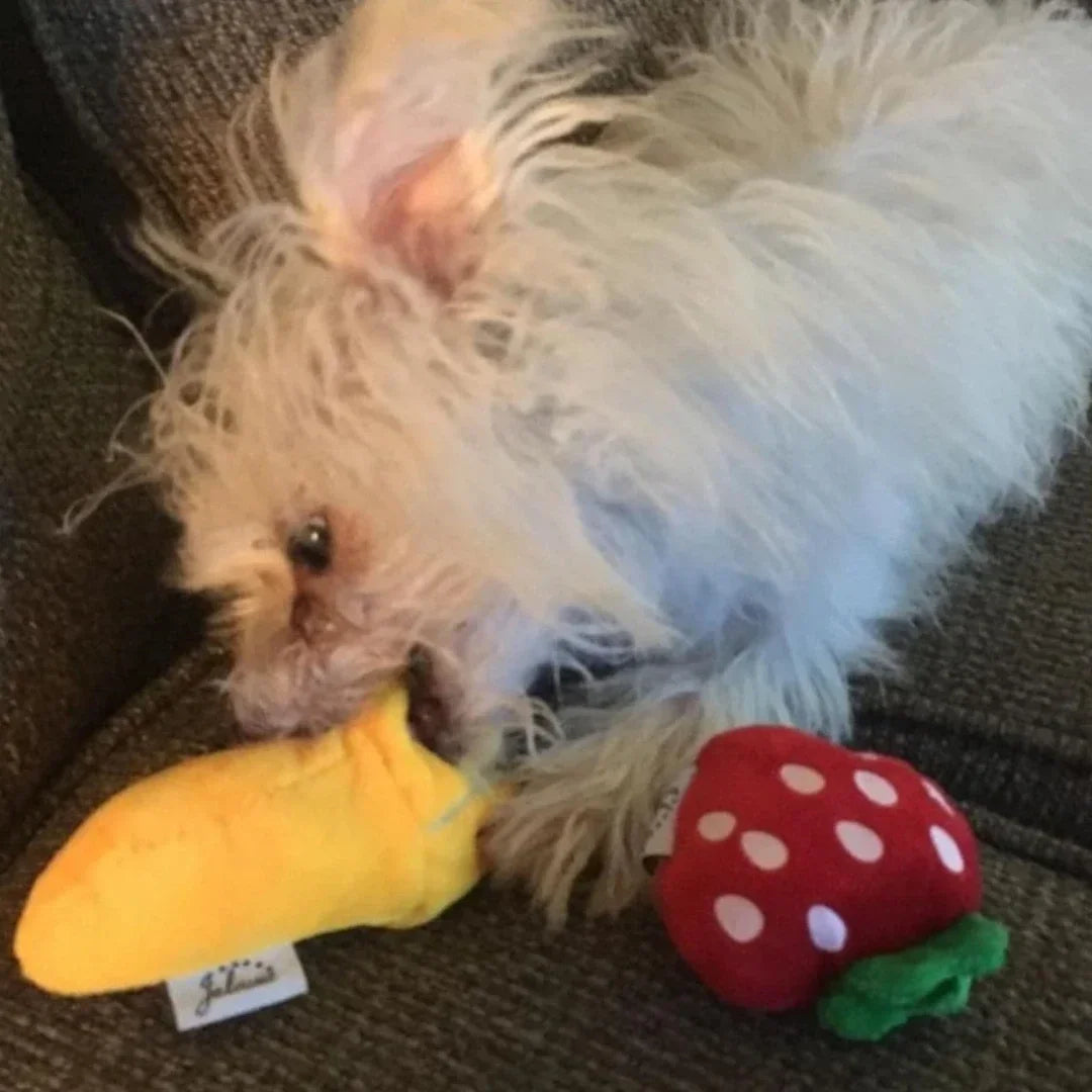7-Piece Puppy Squeaky Toy Set