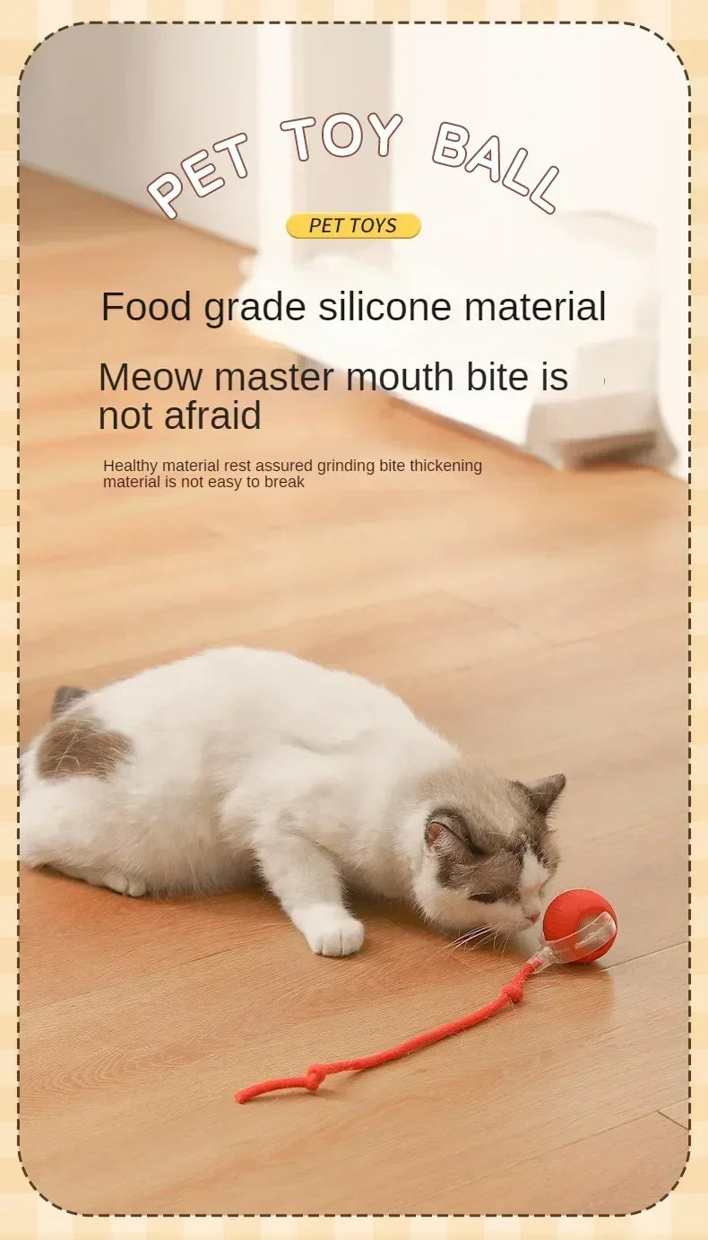 Interactive Auto-Rolling Pet Ball Toy
