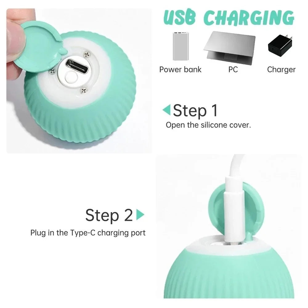 Smart Puppy Ball Toy