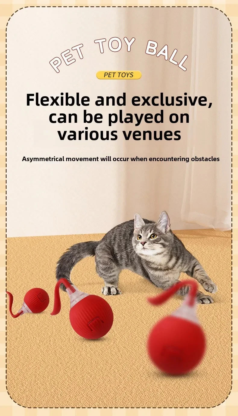 Interactive Auto-Rolling Pet Ball Toy