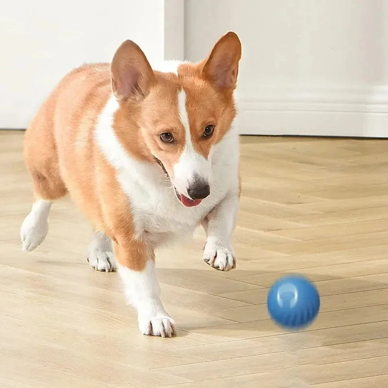 Smart Dog Ball Treat-Dispensing Toy